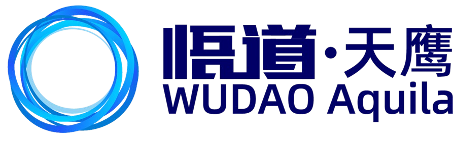 Abstract blue circular logo next to bold Chinese characters and the text "WUDAO Aquila" in blue on a white background.